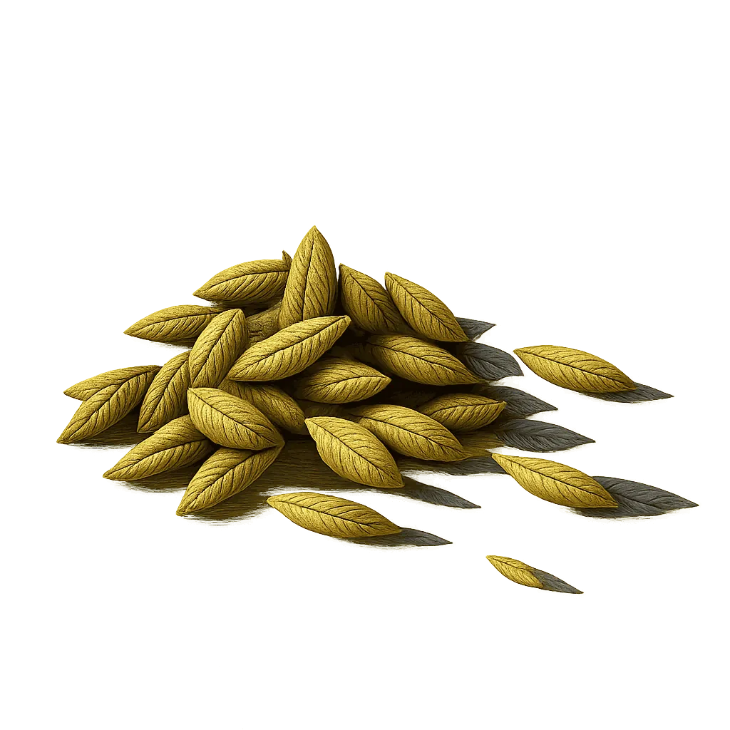 Fennel seed